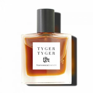 Francesca Bianchi Tyger Tyger